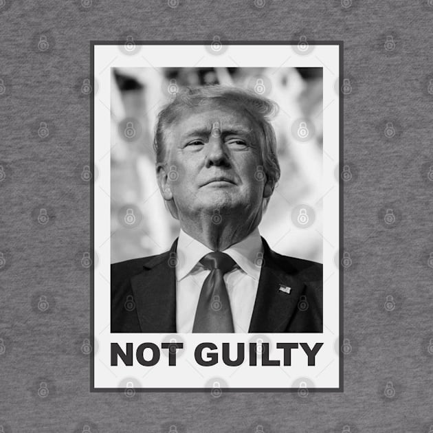 Trump Not Guilty by Dale Preston Design